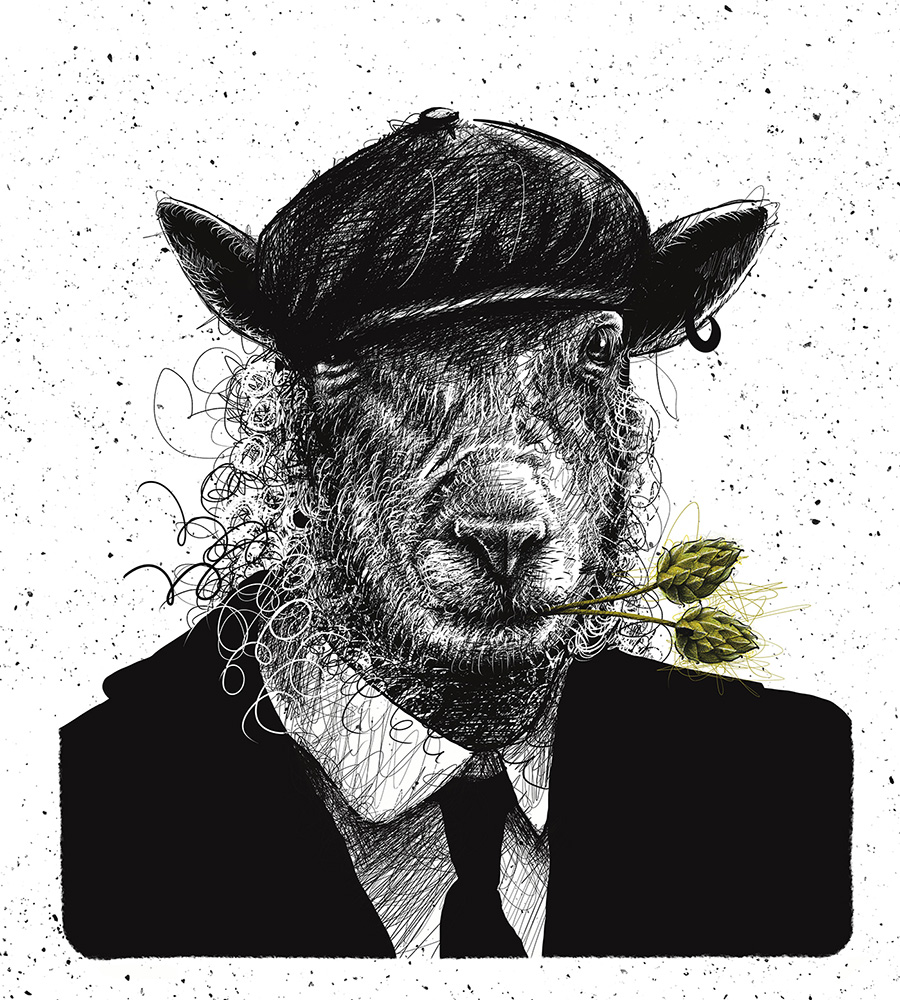 dessin mouton houblon brasserie de la seranne