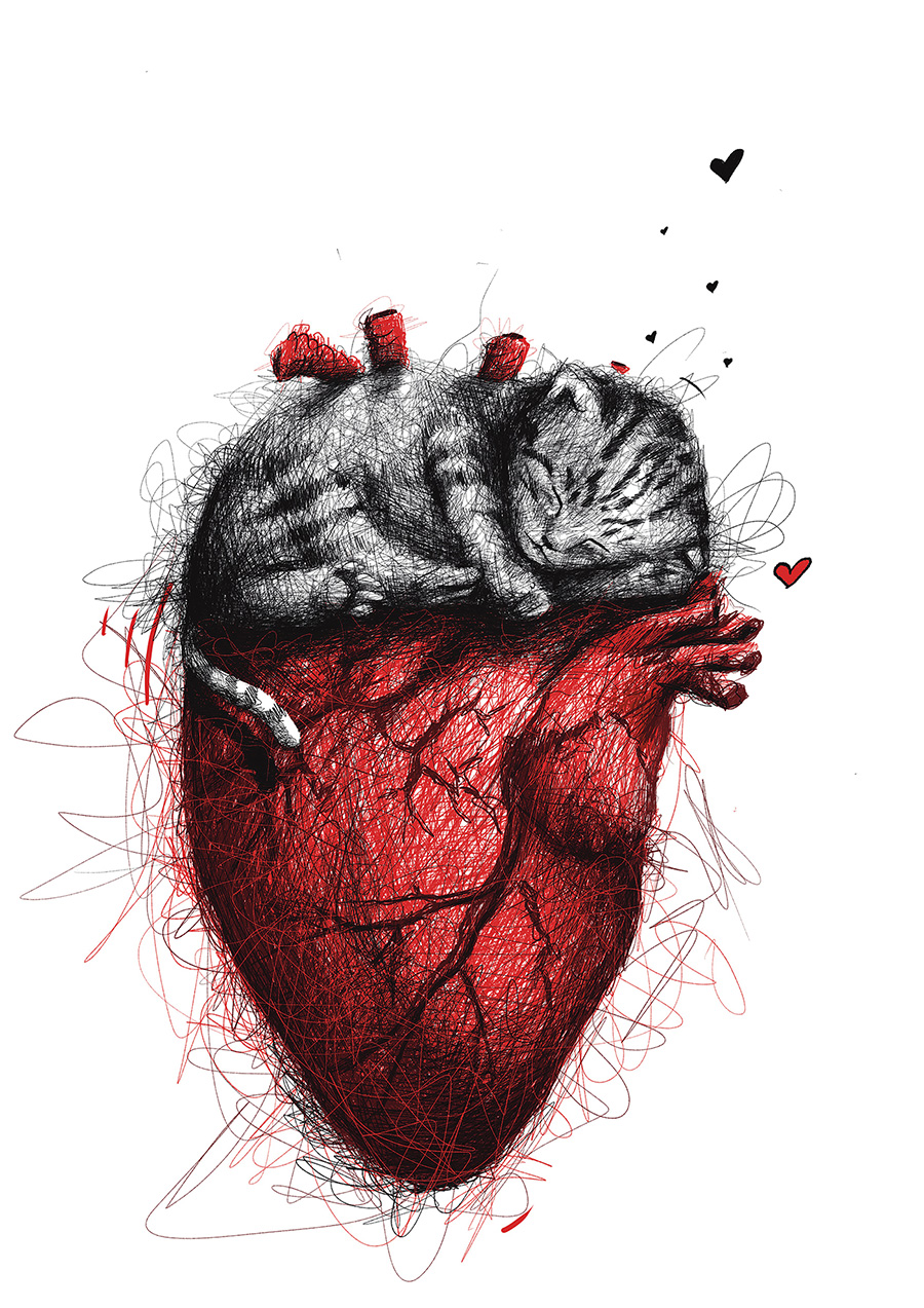 dessin chat coeur sarah carlini