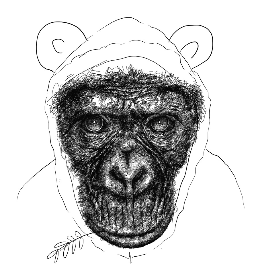 dessin monkey capuche